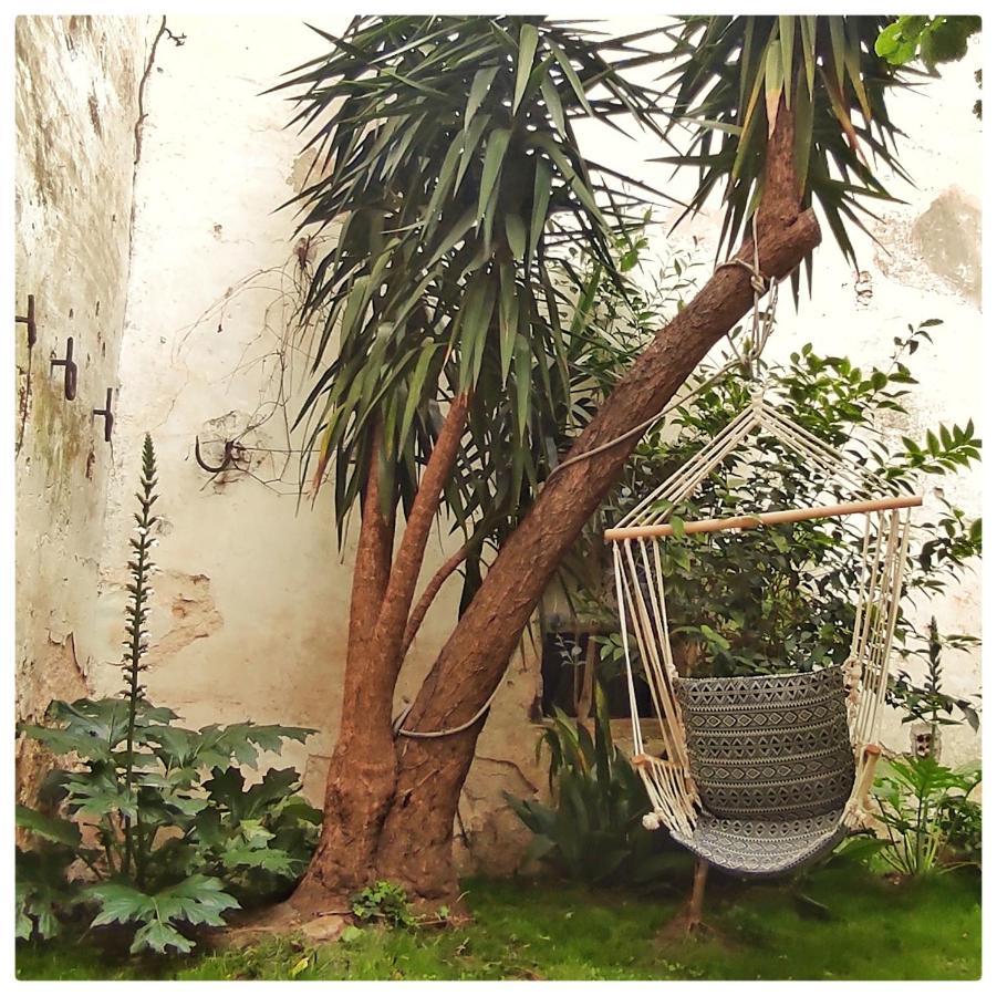 La Vigneronne Des Costieres Bed & Breakfast Vauvert Ngoại thất bức ảnh